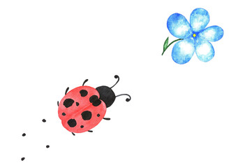 Ladybug and flower, watercolor