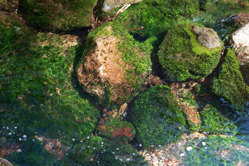 Rivière à Nagano
