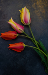 Tulip flowers on concrete background with copy space