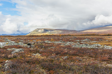 View to Sarek National Park in autumn, Sweden, selective focus