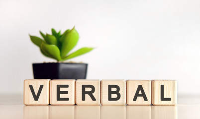 VERBAL - text on wooden cubes and flower in a pot in the background