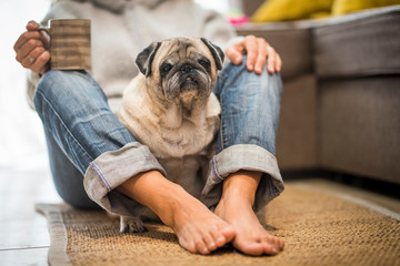 Nice and fun woman owner and old pug dog at home enjoying the relationship and best friends forever...