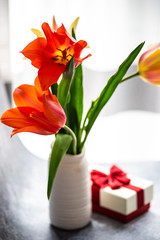 Tulip flowers on concrete background with copy space