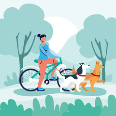 woman walking dogs in bicycle activity