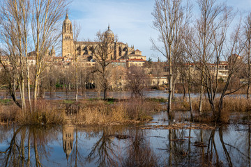 Obraz premium Salamanca cathedral with reflection on the river
