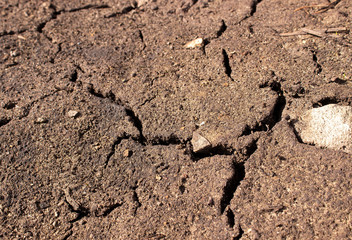 Sand the dried earth. Cracks and collapses in the sand. The concept of barren land.
