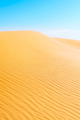 Fototapeta na wymiar Desert, textured sand dune and blue sky