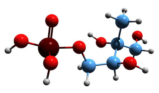 3D image of 2-C-Methylerythritol 4-phosphate skeletal formula - molecular chemical structure of MEP isolated on white background
