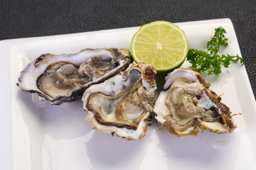 Oysters with lime and parsley