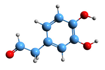Obraz premium 3D image of 3,4-Dihydroxyphenylacetaldehyde skeletal formula - molecular chemical structure of Dopaldehyde isolated on white background 