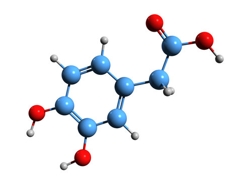 3D image of 3,4-Dihydroxyphenylacetic acid skeletal formula - molecular chemical structure of DOPAC isolated on white background
