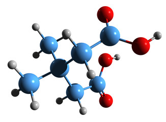 Obraz premium 3D image of 3,3-Dimethylglutarate skeletal formula - molecular chemical structure of Pentanedioic acid isolated on white background 