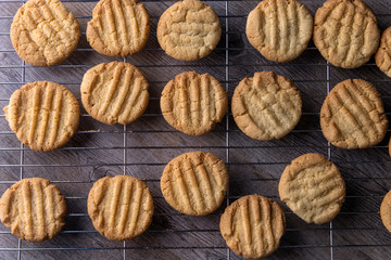 homemade biscuits
