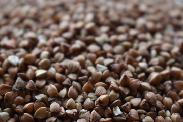 close up of buckwheat