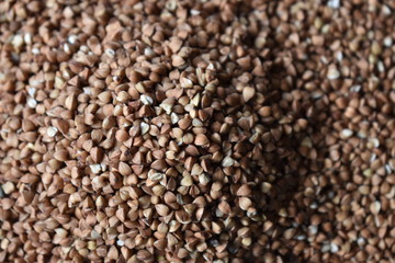close up of buckwheat