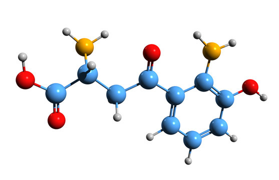 3D image of 3-Hydroxykynurenine skeletal formula - molecular chemical structure of metabolite of tryptophan 3HK isolated on white background
