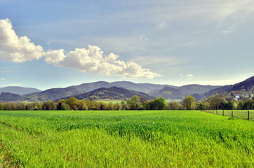 Fototapeta premium Dreisamtal bei Freiburg im Frühling
