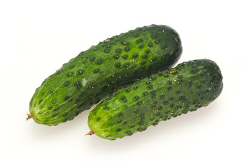 Ripe fresh green two cucumbers