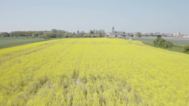 Drone flying over a field full of rapeseed for eco-fuel production