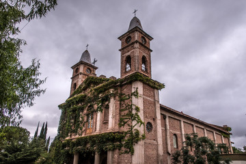 Old church taken by plants in a dramatic sky