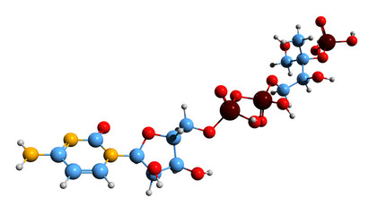 3D image of 4-Diphosphocytidyl-2-C-methyl-D-erythritol 2-phosphate skeletal formula - molecular chemical structure of CDP-MEP isolated on white background
