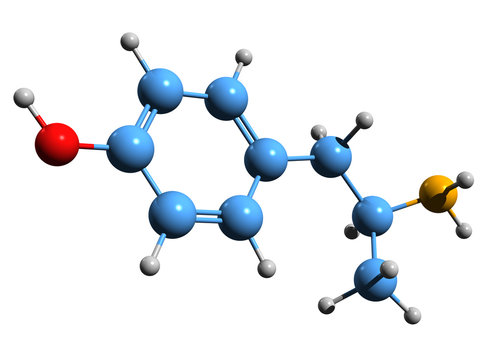 3D image of 4-Hydroxyamphetamine skeletal formula - molecular chemical structure of 4HA isolated on white background
