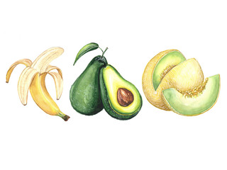 Watercolor illustration of banana, avocado and melon on a white background
