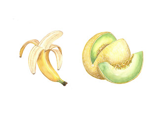 Watercolor illustration of a banana and melon on a white background