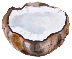 Watercolor coconut. Hand painted illustration isolated on white background