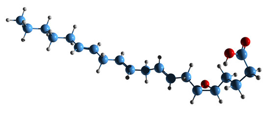 3D image of 5,6-Epoxy eicosatrienoic acid skeletal formula - molecular chemical structure of EET isolated on white background
