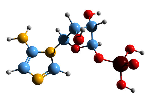 3D image of 5-Aminoimidazole ribotide skeletal formula - molecular chemical structure of AIR isolated on white background
