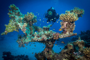 Fototapeta na wymiar Red Sea, Egypt - Aug 2014: woman diver explores the reef