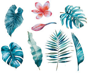 Tropical watercolor set with tropical leaves and flowers. 8 hand painted elements