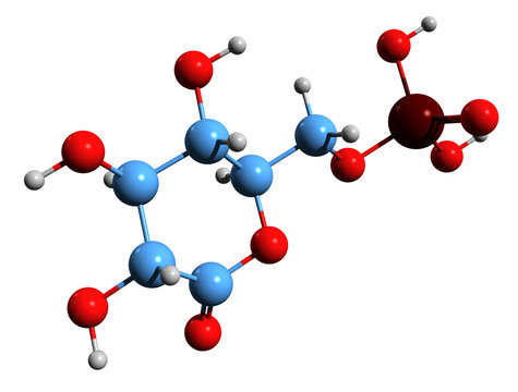 3D image of 6-phosphogluconolactone skeletal formula - molecular chemical structure of intermediate in the pentose phosphate pathway isolated on white background
