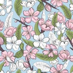 Pink floral blossom of almond tree isolated seamless pattern. Spring blooming pink flowers on blue background endless pattern.