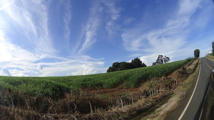 En la carretera viendo los cultivos bajo un hermoso cielo.