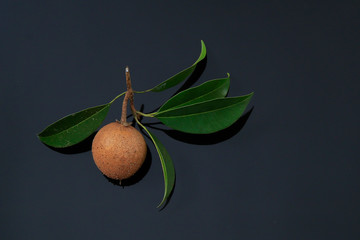 Fresh sapodilla, chikku fruit isolated on black