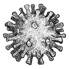 Virus isolated on white background. Graphic hand drawn illustration. Old engraving style.