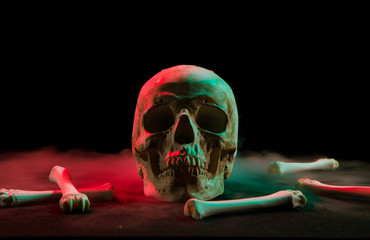 Human skull near bones and thick white smoke flowing around for Day of Dead on dark background with...
