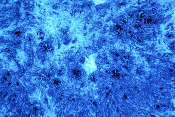 Closeup abstract color mixing of acrylic for use as background. Acrylic texture with marble pattern, blue marbling background 