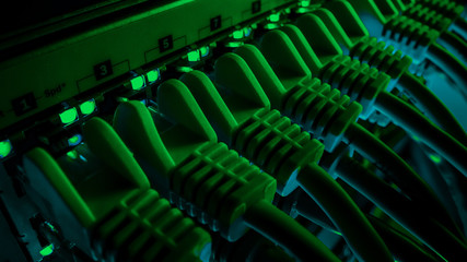 Macro Shot: Ethernet Data Cables Connected to Router Ports with Blinking Lights. Information Technology with RJ45 Internet Connectors Plugged into Modem LAN Switches. Background Green Lighting