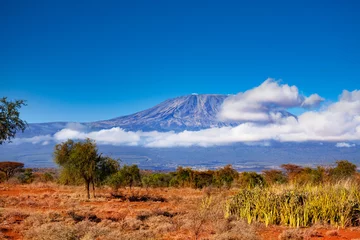Photo sur Plexiglas Kilimandjaro Kilimandjaro dans les nuages vue sur la montagne depuis le parc national du Kenya Amboseli, Afrique