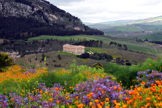 Segesta