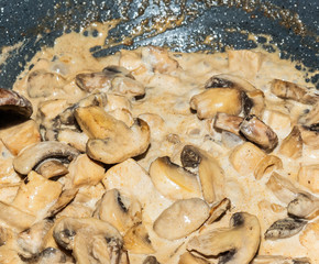 Close-up of homemade cooking chicken with creamy mushrooms