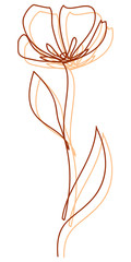 Vector line art flower. Minimalism, elegant, isolated white background