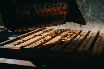 Chimney for flashing bees. Chimney stands near beehives.The beekeeper's tool. Bee smoker smoking.