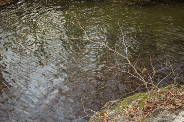 mountain river flows