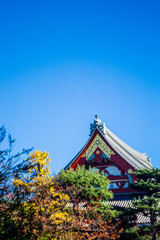 Fototapeta premium Japanese temple with ornaments in Tokyo Japan