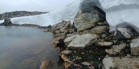  tromso tromsø  water travel tourism sea coast nature port blue landscape sky harbor architecture europe boatship mountain summer bay view city beautifull and mark mediterranean v