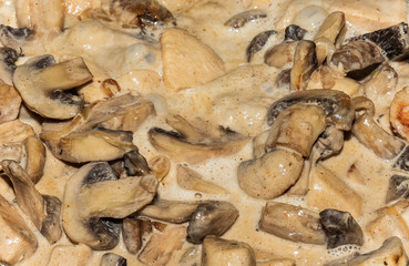 Close-up of homemade cooking chicken with creamy mushrooms